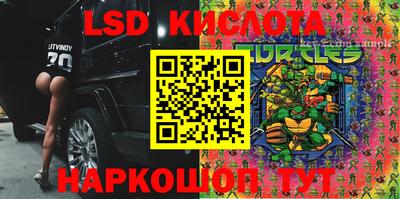 крисы Гай