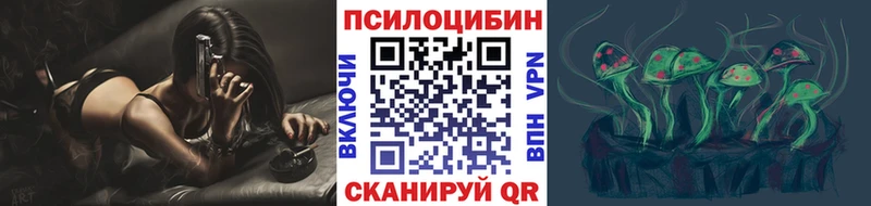 Галлюциногенные грибы Psilocybe  магазин  наркотиков  Мирный 