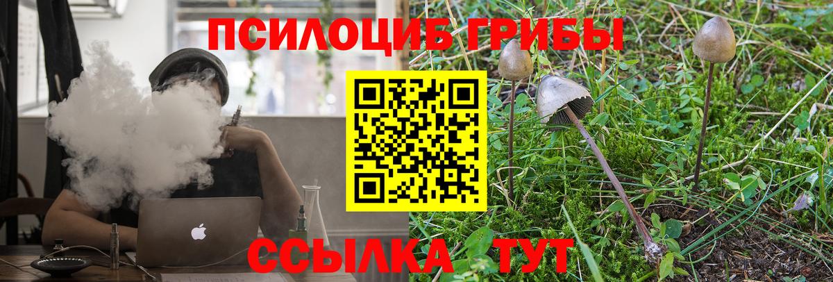 Мирный  Галлюциногенные грибы Psilocybe  Вход с VPN 