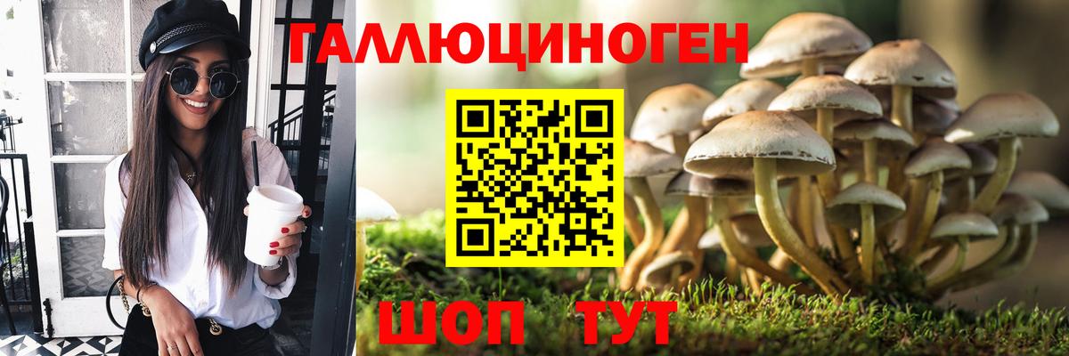 Псилоцибиновые грибы прущие грибы Мирный